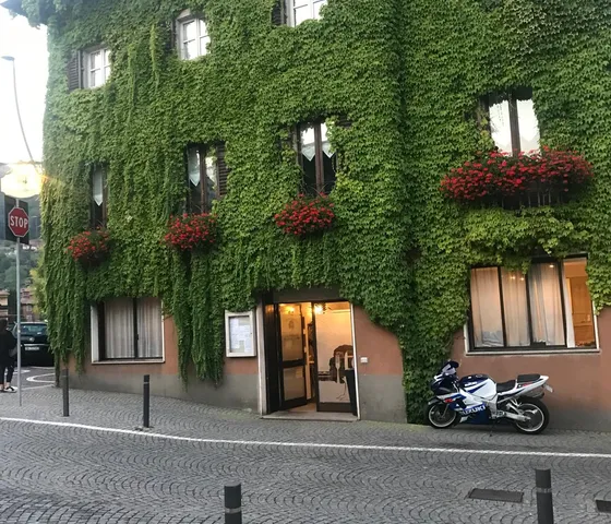 La facciata della Trattoria Alle Piante, interamente ricoperta d'edera